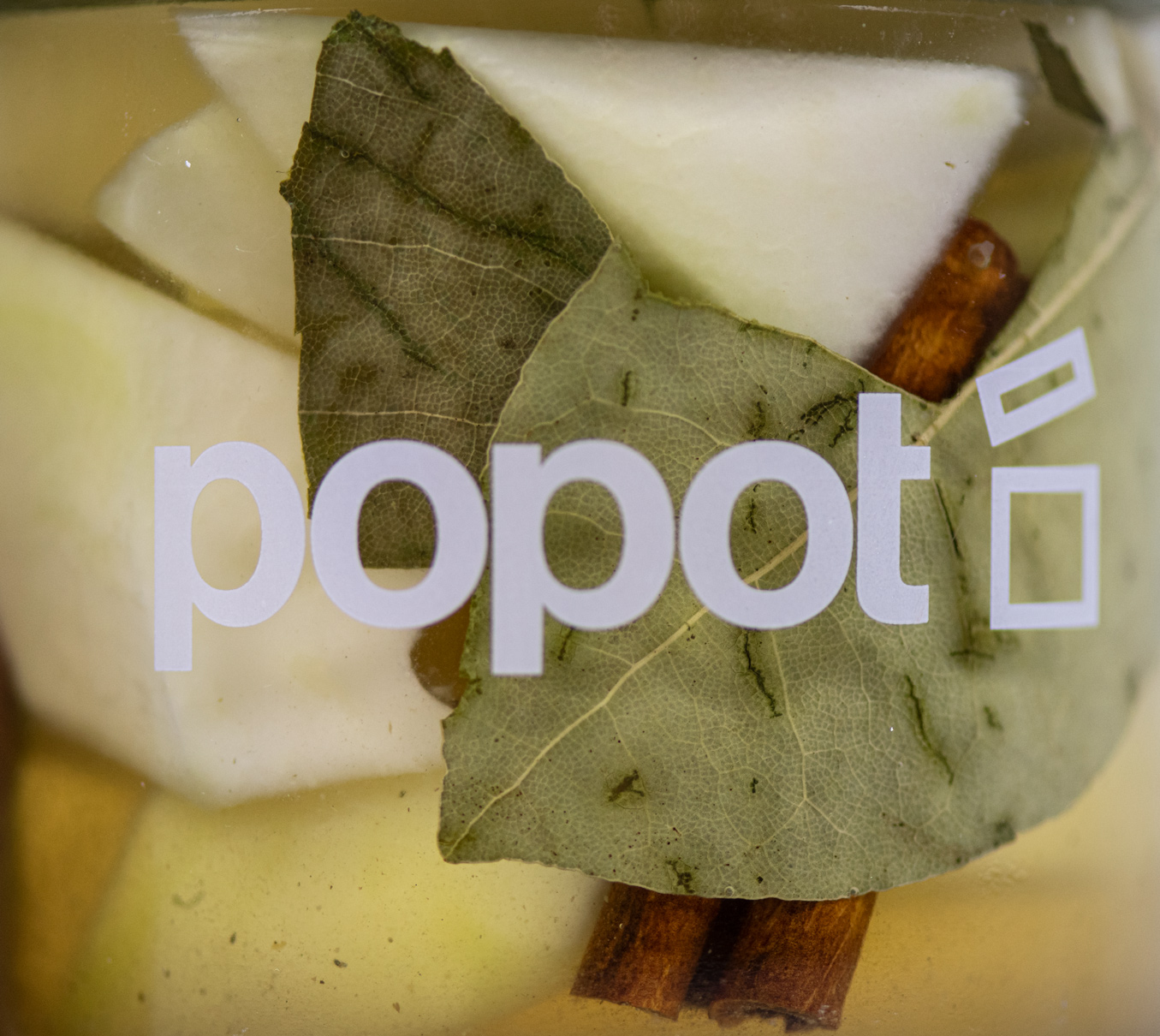 popot-classic-pickles-0025